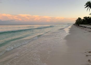 PLAYAS DE TULUM LUCEN SU MEJOR ROSTRO EN TRES AÑOS