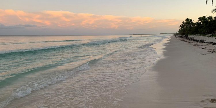 PLAYAS DE TULUM LUCEN SU MEJOR ROSTRO EN TRES AÑOS