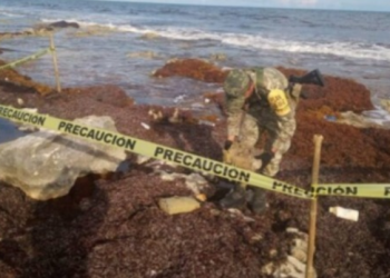 RECALA DROGA AL ESTE DE COZUMEL