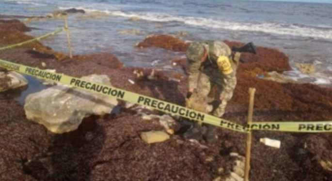 RECALA DROGA AL ESTE DE COZUMEL