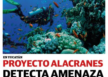 Periódico Yucatán #42 Año VII