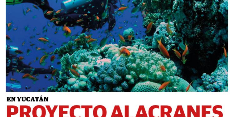 Periódico Yucatán #42 Año VII