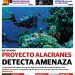 Periódico Yucatán #42 Año VII