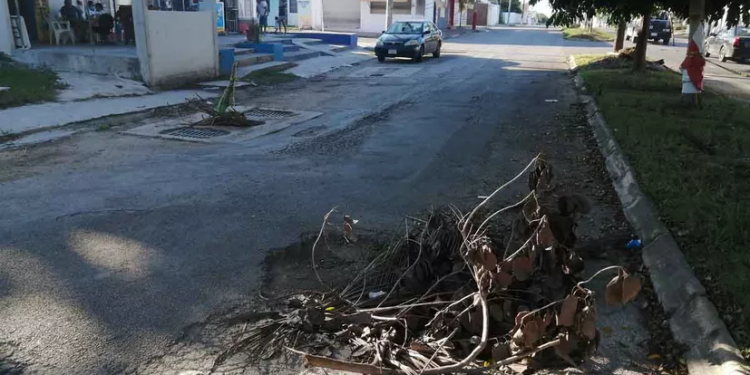 Automovilistas exigen programa de bacheo en Chetumal