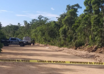 Encuentran cadáver en la Región 110 de Cancún.