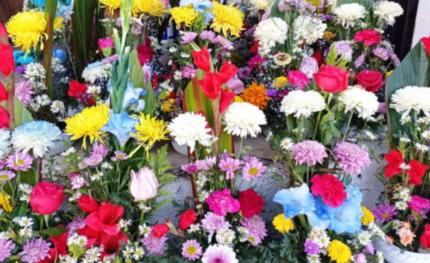 PROYECTAN DUPLICAR SUS VENTAS EN FLORERÍAS DE CHETUMAL