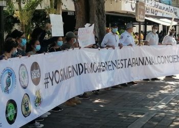 PROTESTAN VETERINARIOS Y BIÓLOGOS DE YUCATÁN PARA OPONERSE A LA INICIATIVA DE BIENESTAR ANIMAL PROPUESTA POR EL SENADO DE LA REPÚBLICA
