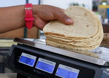 SE ESPERA QUE DEL PRÓXIMO 15 DE SEPTIEMBRE EL COSTO DEL KILOGRAMO DE TORTILLA AUMENTÉ A LOS 30 PESOS