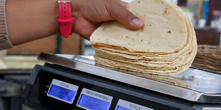 SE ESPERA QUE DEL PRÓXIMO 15 DE SEPTIEMBRE EL COSTO DEL KILOGRAMO DE TORTILLA AUMENTÉ A LOS 30 PESOS