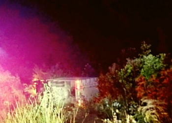 Se vuelca tráiler en la carretera de Felipe Carrillo Puerto