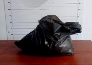 Policía de Quintana Roo halla paquete de estupefacientes en playas de Punta Sam