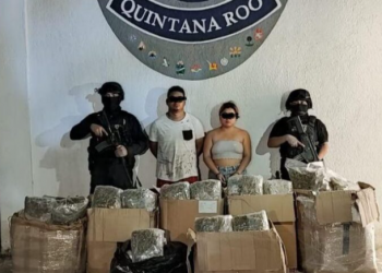 Decomisan más de 60 kg de marihuana y aseguran a dos en Playa del Carmen