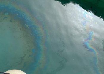 Derraman gasolina en marina de Puerto Aventuras