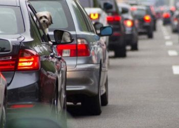 ESTE SÁBADO HABRÁ MÓDULO ITINERANTE EN PUERTO AVENTURAS Y ABRIRÁN OFICINAS DE EMPLACAMIENTO EN COZUMEL Y CANCÚN