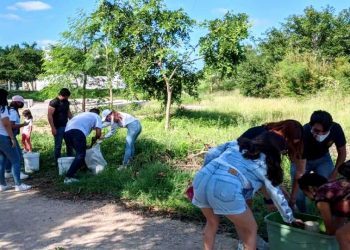 REALIZAN EN YUCATÁN ‘REFORESTACIÓN DIVERSA POR EL FUTURO’