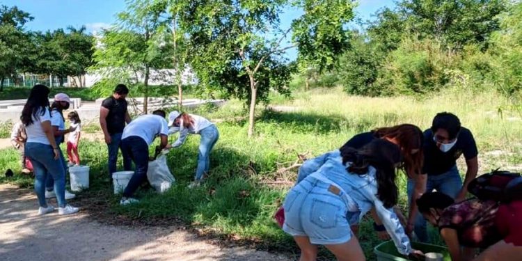REALIZAN EN YUCATÁN ‘REFORESTACIÓN DIVERSA POR EL FUTURO’