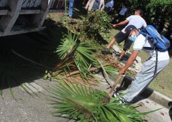 Estudiantes fomentan el cuidado al medio ambiente en Quintana Roo