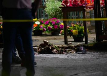 ATACAN A BALAZOS A SUBPROCURADOR DE MEDIO AMBIENTE DE VERACRUZ