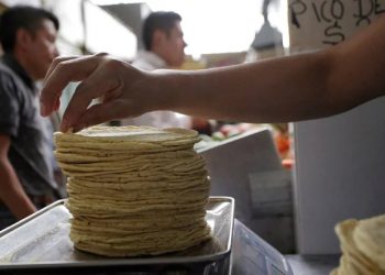 Aumenta el costo del kilo de tortillas en Quintana Roo