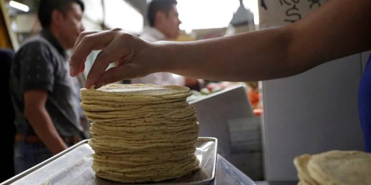 Aumenta el costo del kilo de tortillas en Quintana Roo