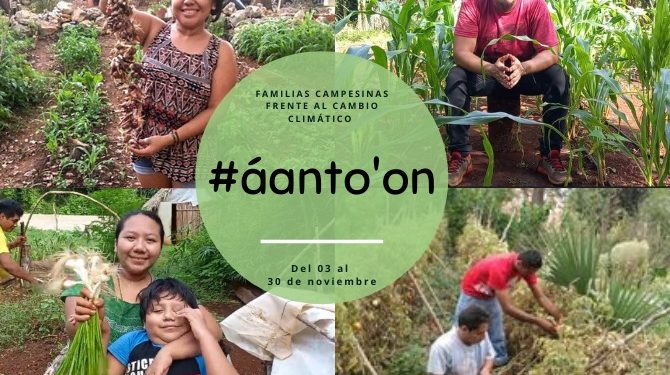 Más de 3.2 mdp sustentarán las diferentes iniciativas que resuelven problemáticas sociales y económicas en comunidades rurales