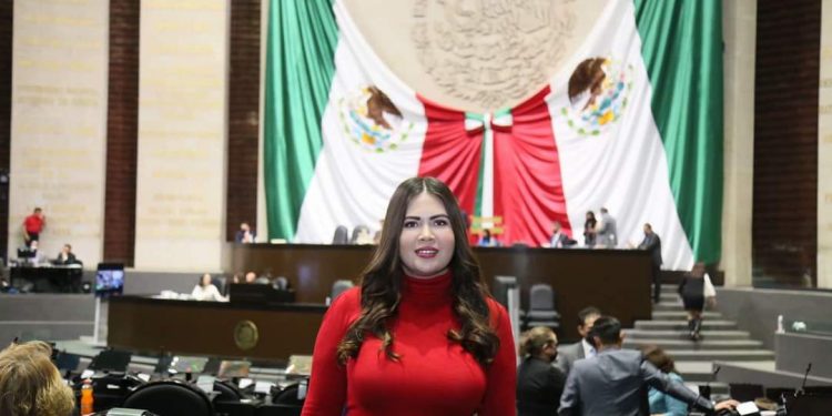 Presenta Anahí González iniciativa para la protección de las especies animales