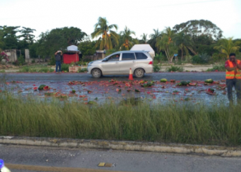 Choca camión repartidor de frutas en la carretera Tulum-Puerto Aventuras