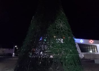 Feministas queman árbol de navidad a diputados corruptos y serviles