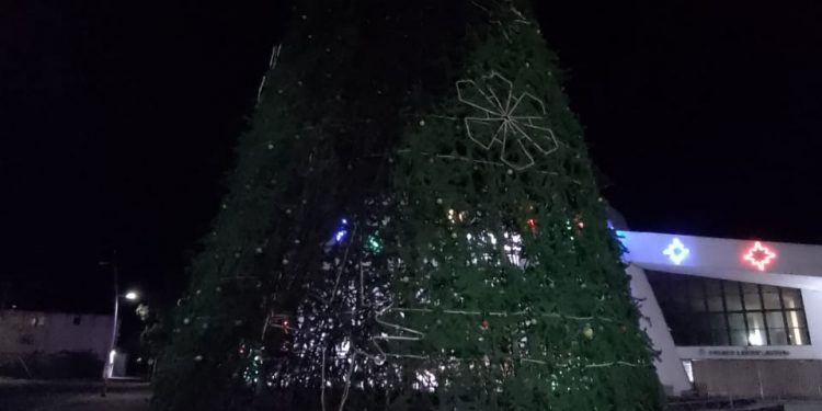 Feministas queman árbol de navidad a diputados corruptos y serviles