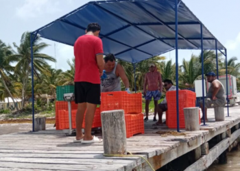Elevan costo de langosta en Tulum ante escasez