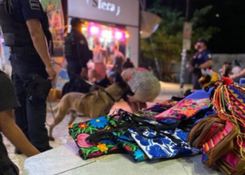 Autoridades resguardan a siete menores que eran explotados en Playa del Carmen