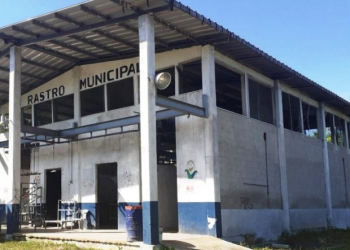 Denuncian públicamente el rastro de José María Morelos por la desaparición de un cerdo