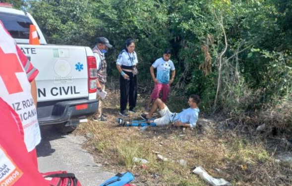 Choque deja un lesionado y una mascota desaparecida