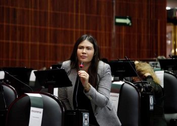 Presenta Anahí González exhortó para que frenen la tala ilegal en municipios de Quintana Roo