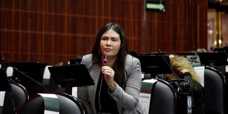 Presenta Anahí González exhortó para que frenen la tala ilegal en municipios de Quintana Roo