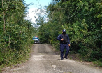 Hallan dos cuerpos descuartizados en la salida hacia Mérida