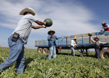 Expertos indican que un acuerdo migratorio beneficiaria la economía de Estados Unidos