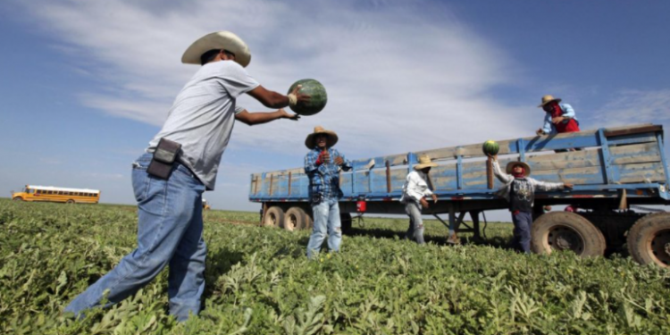 Expertos indican que un acuerdo migratorio beneficiaria la economía de Estados Unidos