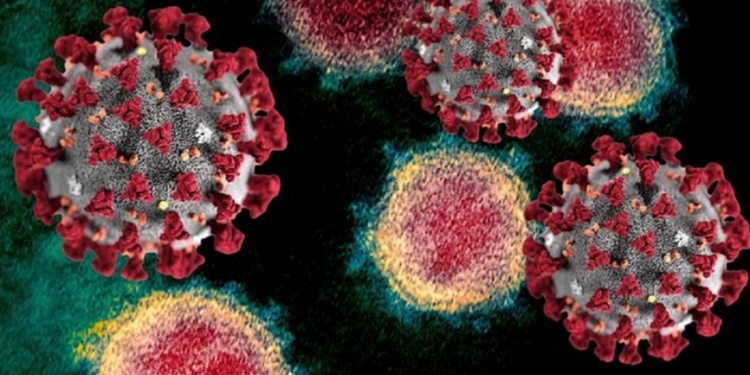 Detectaron 25 casos de la nueva variante de covid ‘deltacron’ en Chipre