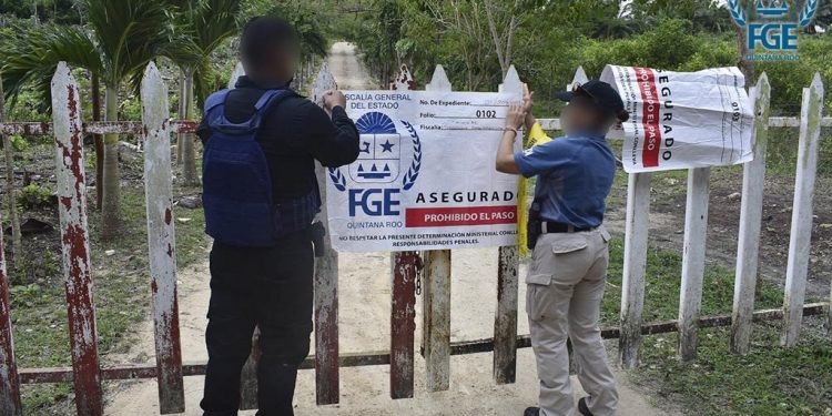 Asegura FGE a 164 animales exóticos y 148 animales domésticos durante cateo en la localidad de Xul-Ha