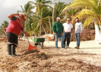 Alcalde de Mahahual pide adelantar la instalación de las barreras anti-sargazo