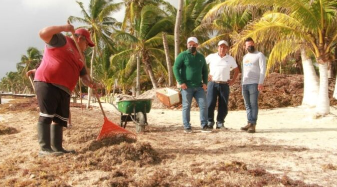 Alcalde de Mahahual pide adelantar la instalación de las barreras anti-sargazo