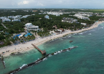 Solidaridad busca la certificación de seis de sus playas