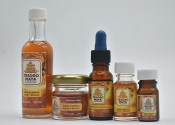 Quintana Roo será representado por Tesoro Maya la miel melipona de Tulum en la FITUR