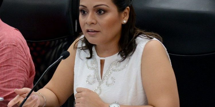 Ciudadanos rechazan aspiraciones de Judith Rodríguez, candidata de «La Mafia Verde» a la CEDH