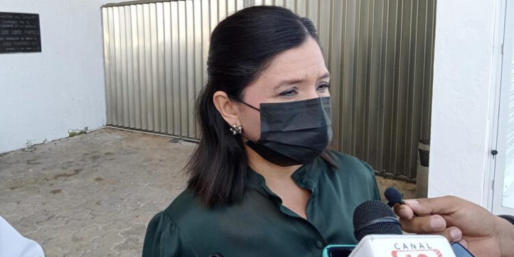 El IEQROO comienza a conformar los 15 consejos distritales