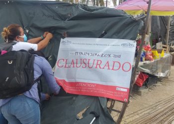 Imparable ecocidio en Puerto Juárez