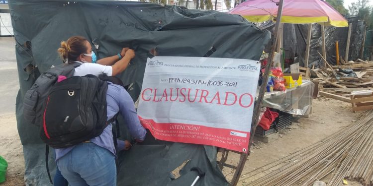 Imparable ecocidio en Puerto Juárez