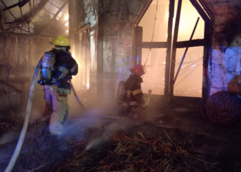 Incendio en Tulum casi consume en su totalidad el «Funky Burrito»