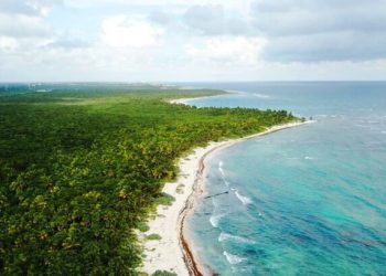 Promueven ampliar la reserva de la tortuga marina Xcacel-Xcacelito